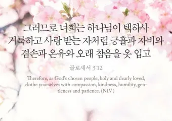 골로새서 3장 23절 묵상 - 무엇을 하든지 마음을 다하여 주께 하듯 하고_16