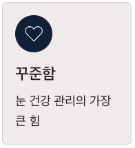 루테인 꾸준함