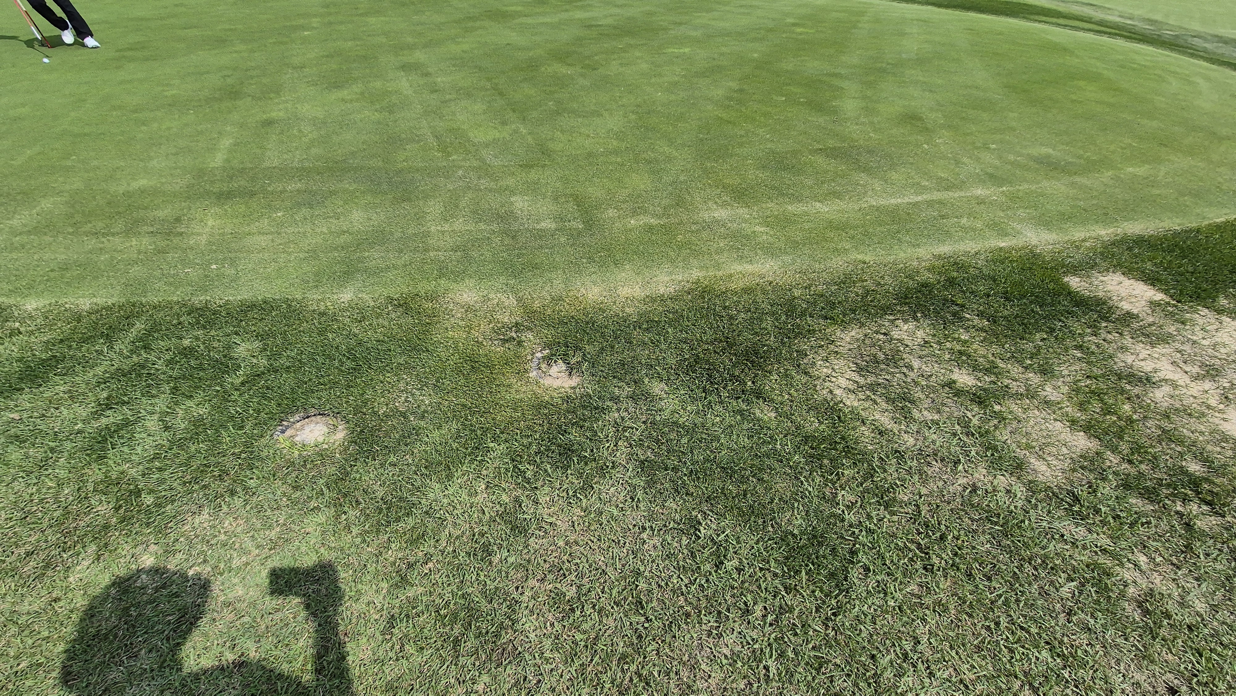 서산수cc 그린 관리 상태