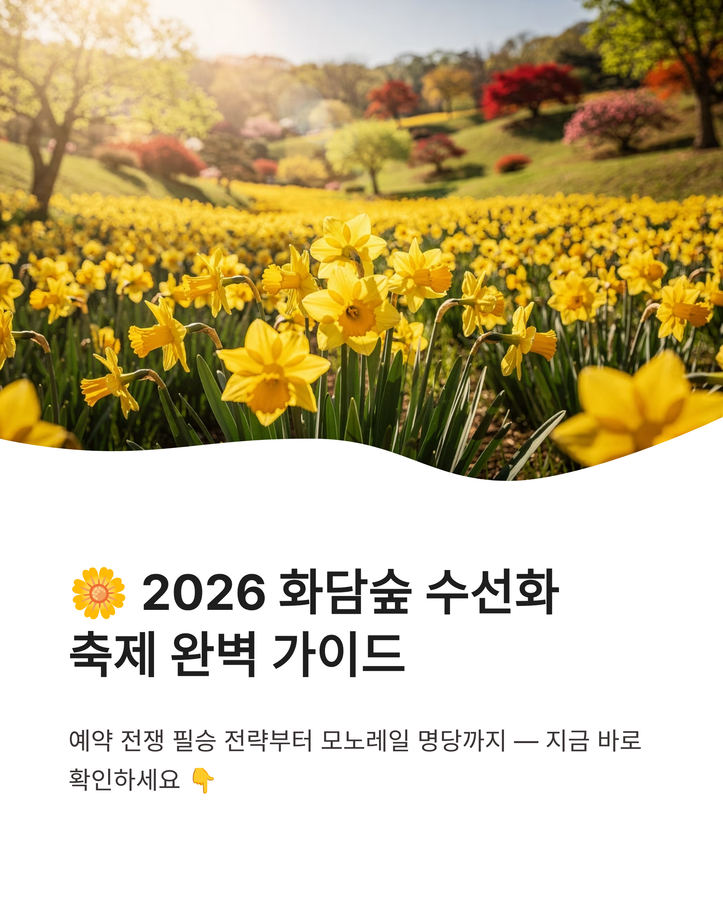 2026 화담숲 예약방법, 예매성공꿀팁, 주차방법 완벽정리!!
