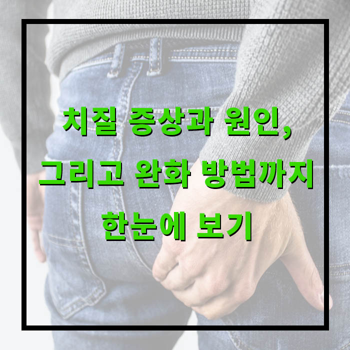 출혈? 통증? 혹시 나도 치질? 꼭 알아야 할 정보 모음