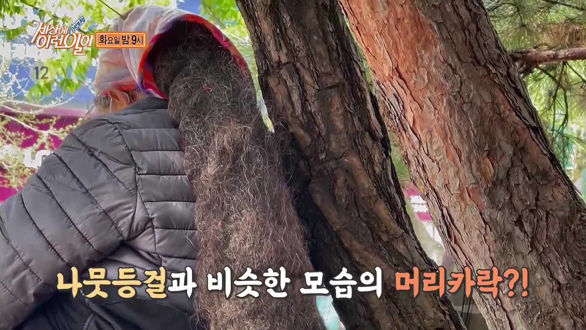 순간포착 세상에 이런일이 천안 인간 풍차, 길 위를 떠도는 긴 머리 여인, 남양주 등에 올라타개, 만 4세 풍물놀이 풍물 소년 오늘방송 다시보기