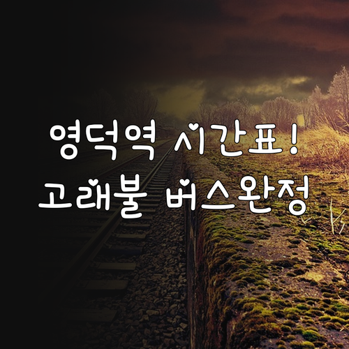 동해선 영덕역 열차 시간표 및 고래불..