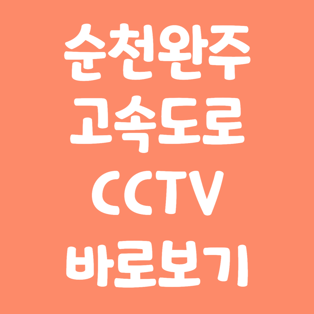 실시간 순천완주 고속도로 CCTV 바로보기