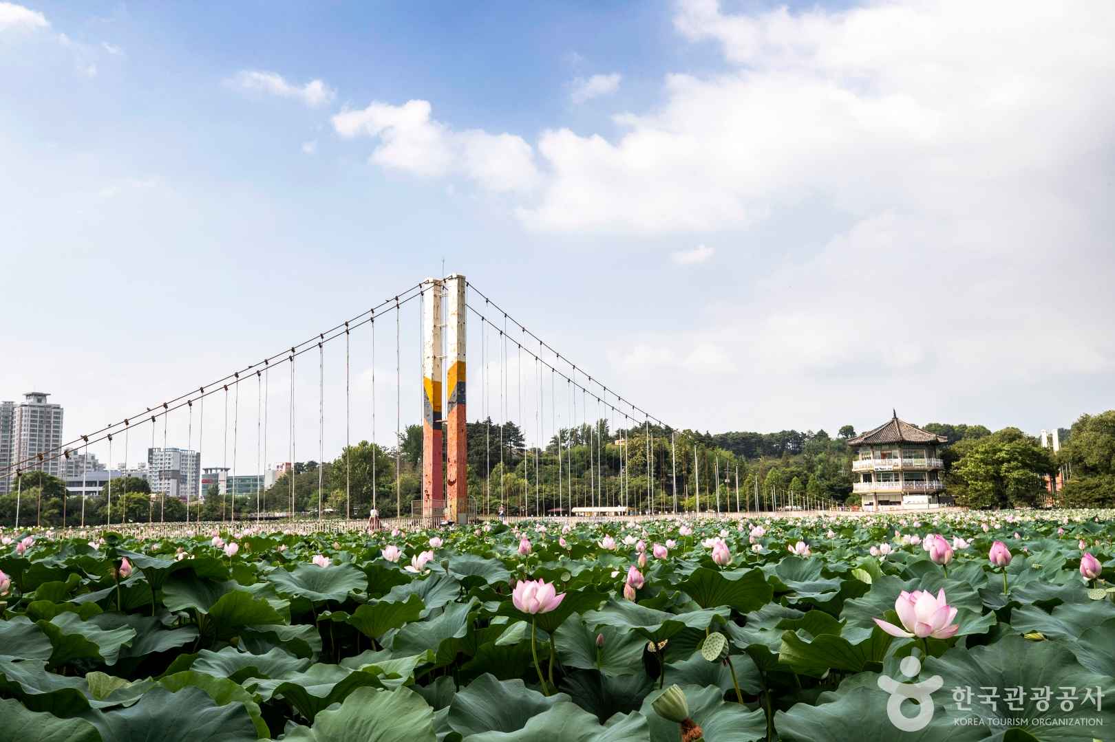 덕진공원