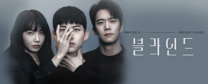 [드라마추천] 결말이 궁금한 블라인드 몇부작, 인물관계도, 등장인물