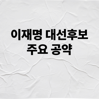 이재명 후보 주요 공약