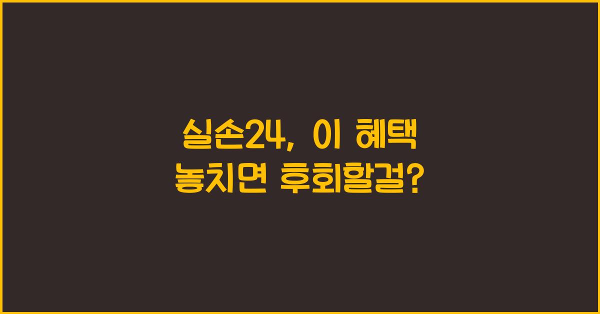 실손24