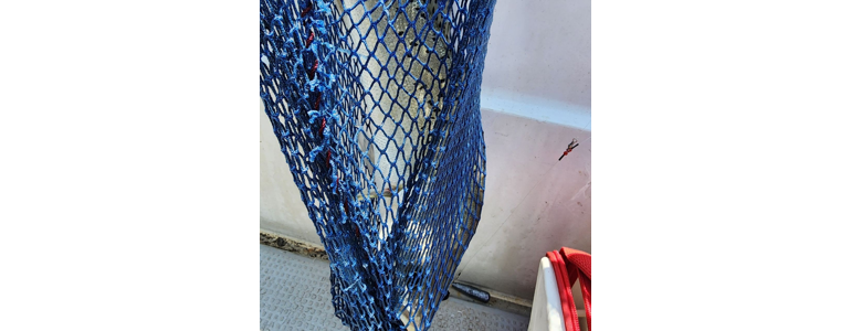 고창군 낚시용품