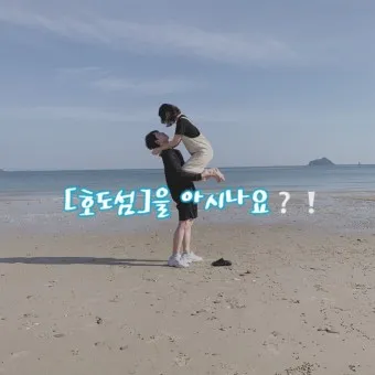대천 호도 배편 배시간표 예매 요금 예약_21