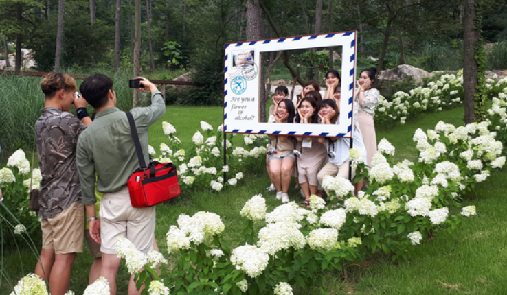 수국명소 전남 보성 윤제림 개화시기