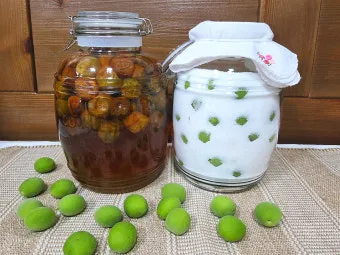 매실청 건더기 활용 처리 방법 정리_5