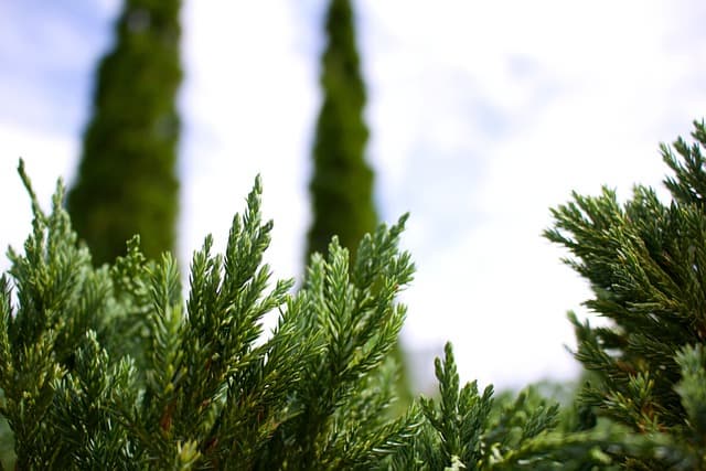 디지털 디톡스를 위한 모닝, 나이트 루틴