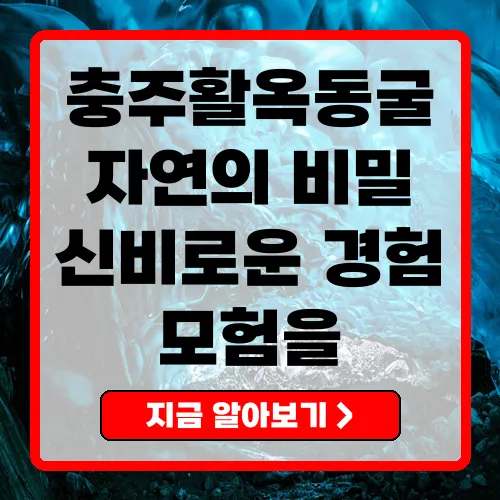 충주활옥동굴 자연의 비밀을 품은 천혜의 동굴 탐험