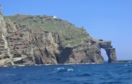 독도 가는 배편 정보 - 상륙 또는 실패 시 참고할 팁