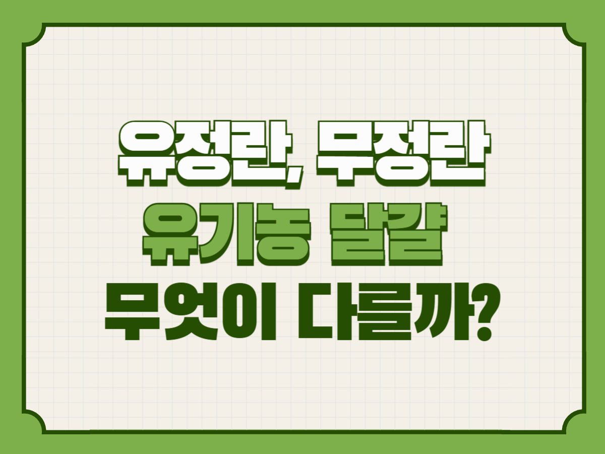 유정란, 무정란, 유기농 달걀 – 무엇이 다를까?