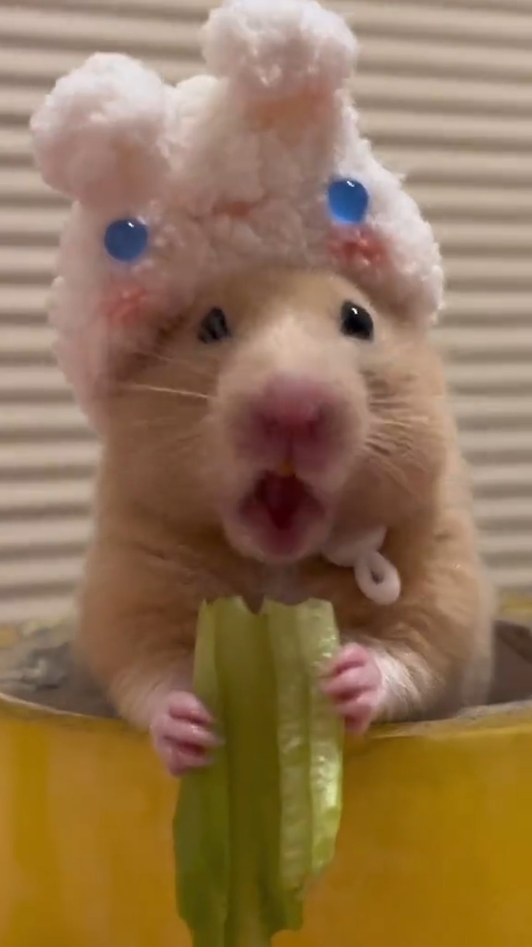 귀여운 햄스터가 토끼 모자를 쓰고 채소를 먹는 모습