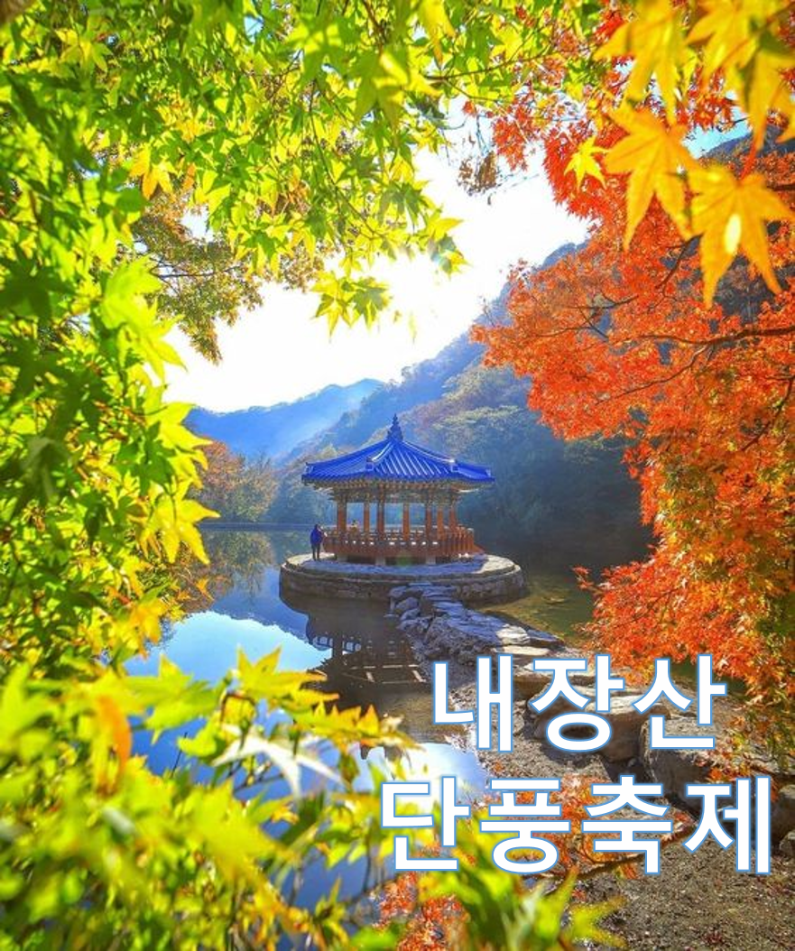 2024 내장산 단풍축제