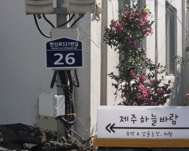 제주하늘바람 숙소