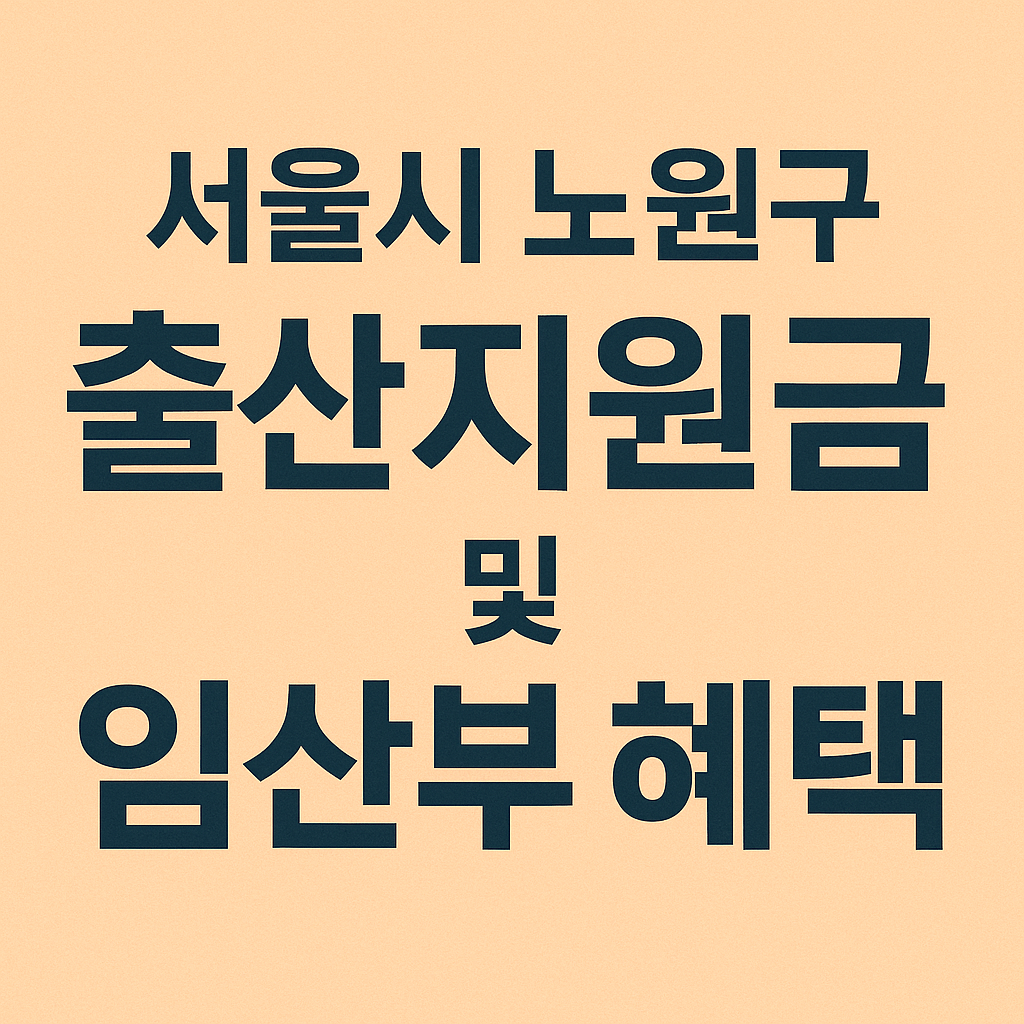 서울시 노원구 출산지원금 및 임산부 혜택