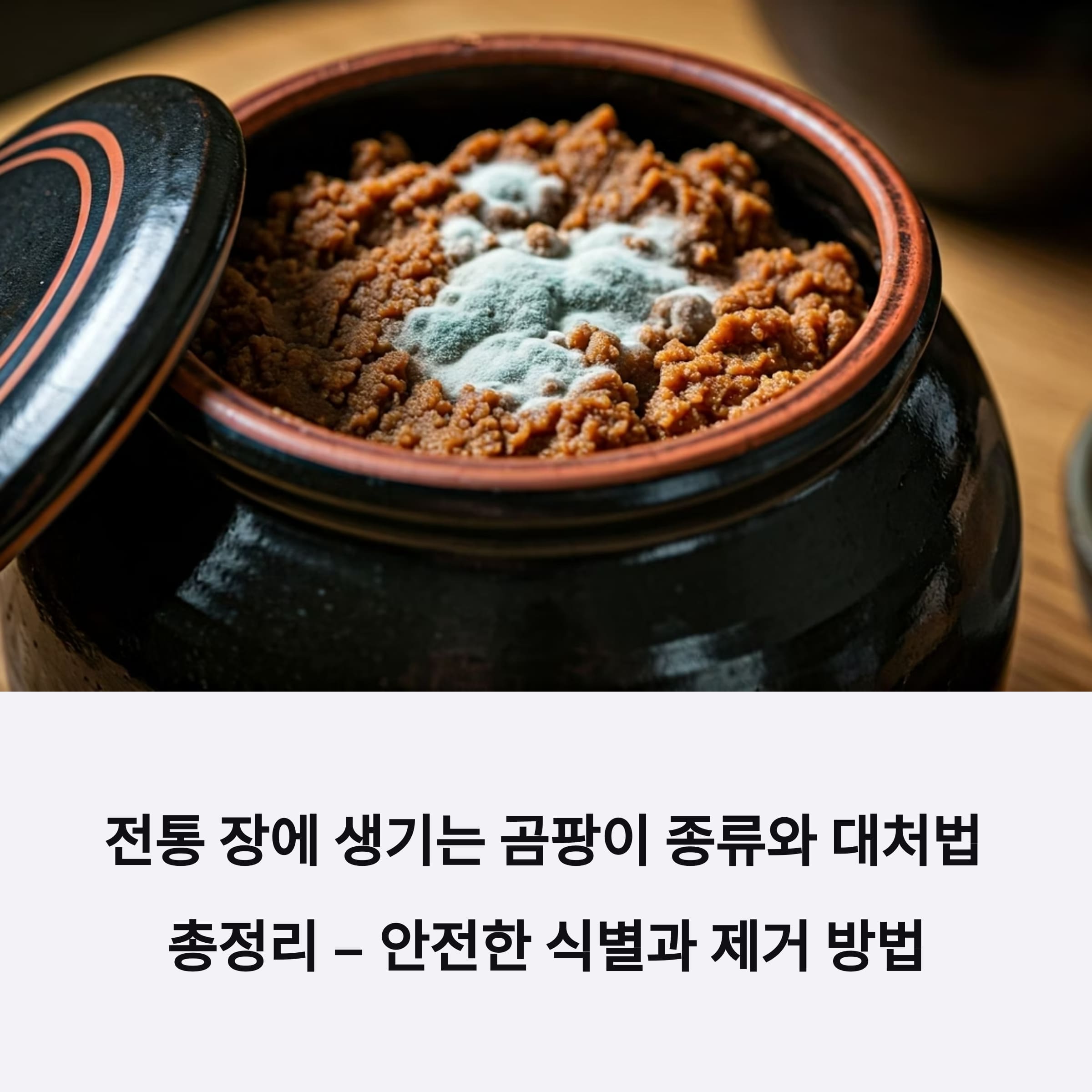 장독 안에 생긴 곰팡이의 모습과 함께 전통 장에 생기는 곰팡이 종류 및 안전한 제거 방법 안