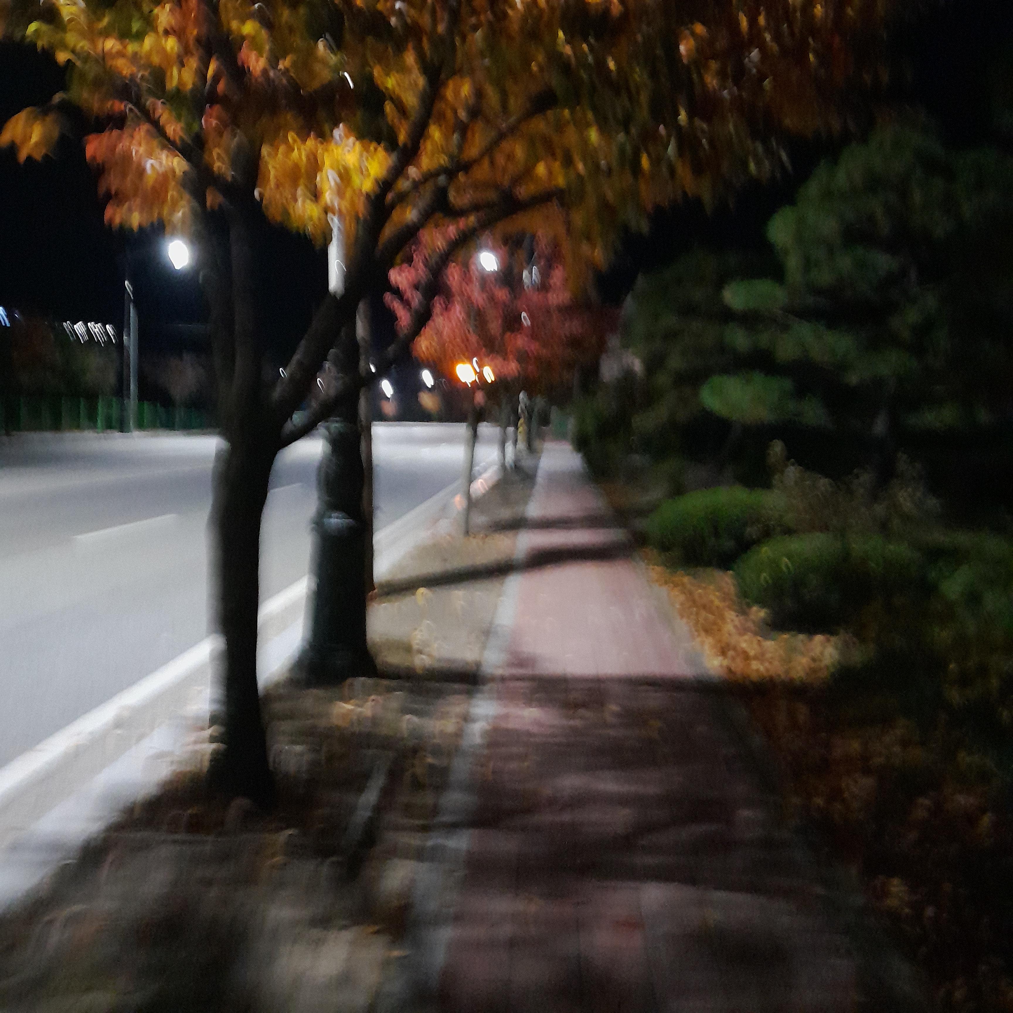 새벽 슬로우 조깅