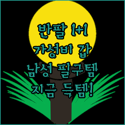 가성비 갑 스포츠 반팔 티셔츠👕 1+