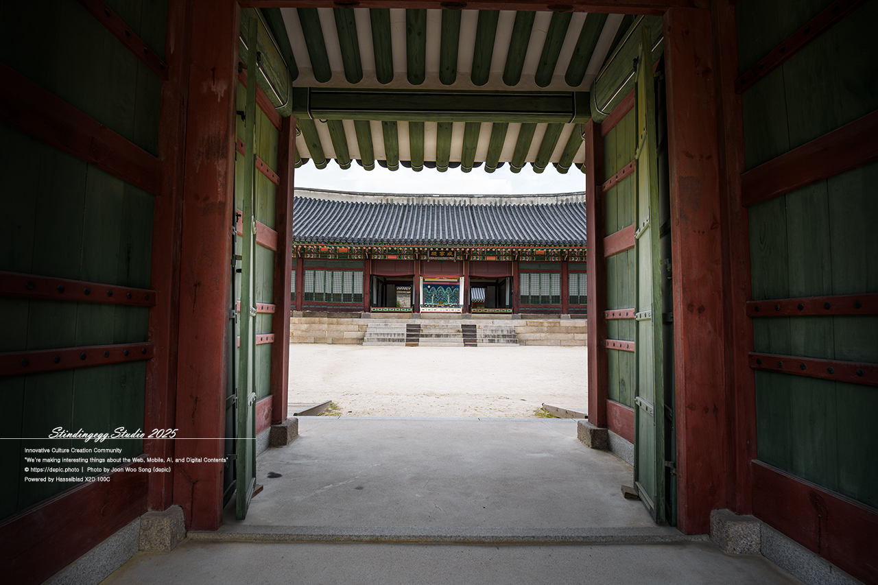 #서울 #대한제국 #덕수궁 #궁궐 #배롱꽃