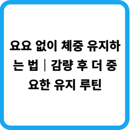 요요 없이 체중 유지하는 법｜감량 후 더 중요한 유지 루틴