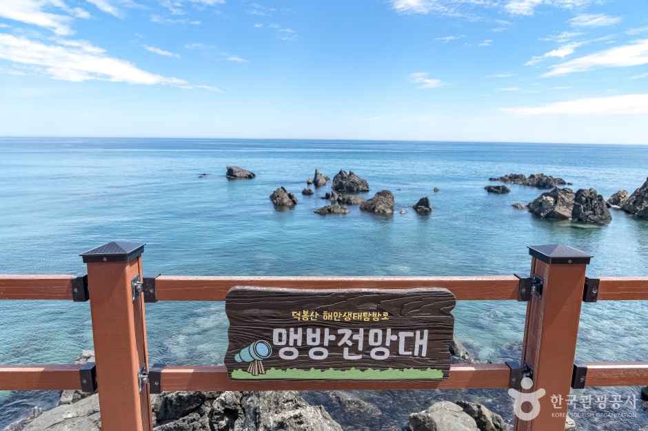 덕봉산 해안생태탐방로 전망대