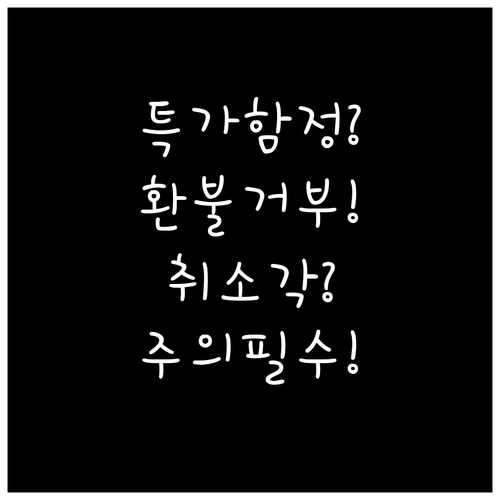 특가 항공권 취소 환불 불가 주의..