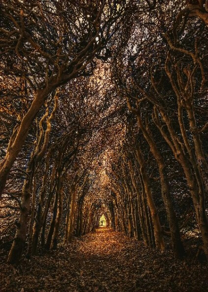 palette 사용방법