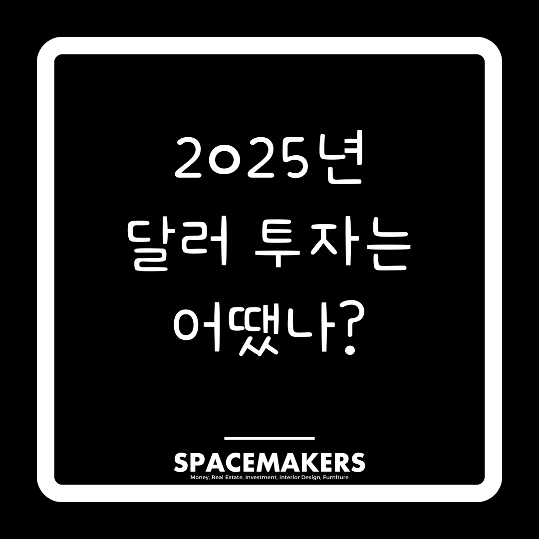 2025년 달러 투자는 어땠나?