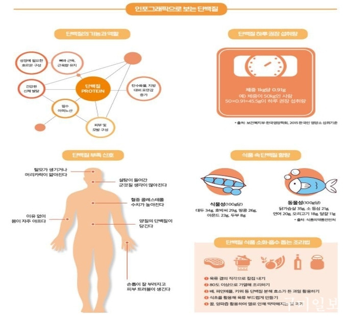 단백질 기능과 역할, 그리고 권장 섭취량/출처- 구미일보