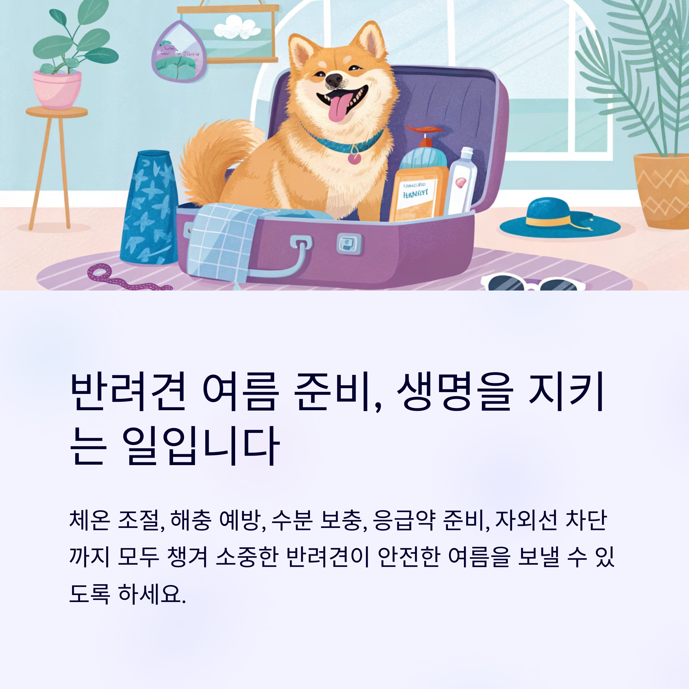 반려견 여름 준비, 생명을 지키는 일입니다