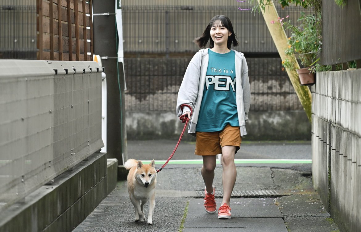 폰타와오늘의산책