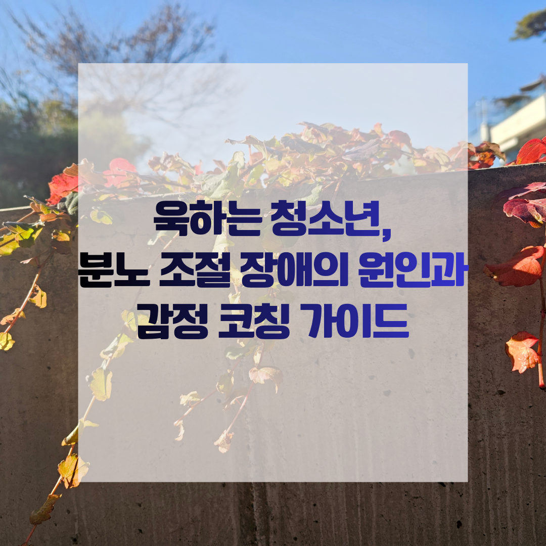 욱하는 청소년, 분노 조절 장애의 원인과 감정 코칭 가이드