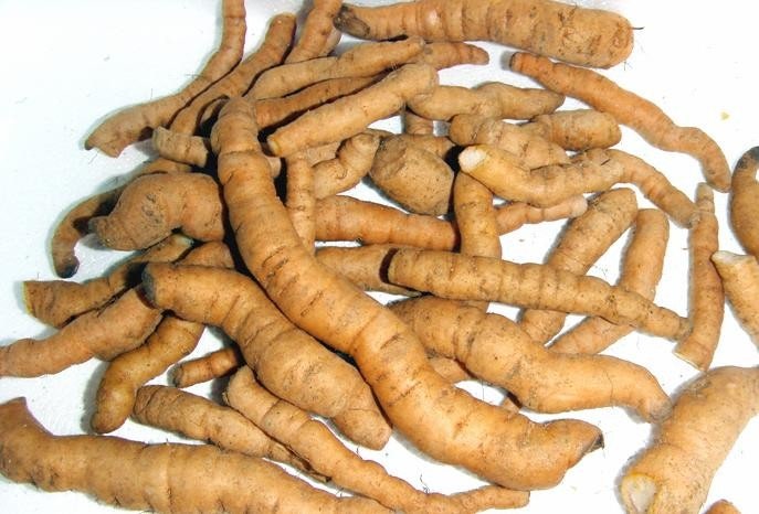 전립선에 좋은 음식