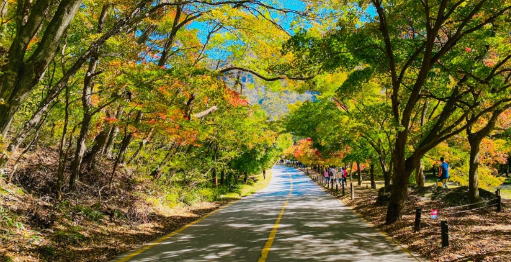 내장산국립공원
