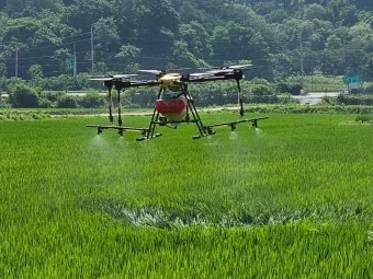 농사 병해충 예방법 진딧물 응애 노균병 탄저병 대처_21