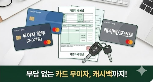 자동차세 연납신청 카드