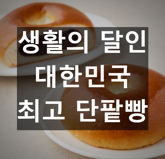 생활의 달인