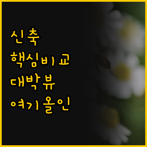 2024년 새로 지은 옐로우 라문과 ..