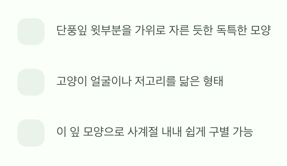 꽃보다 더 신기한 잎사귀 모양