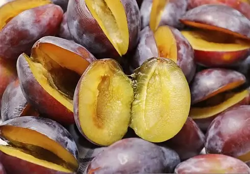변비에좋은음식-푸룬