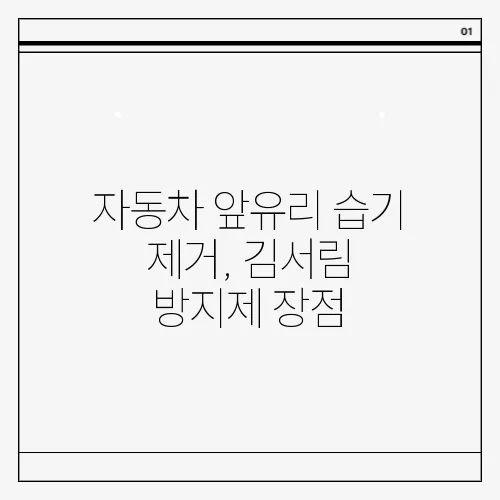자동차 앞유리 습기 제거, 김서림 방지제 장점