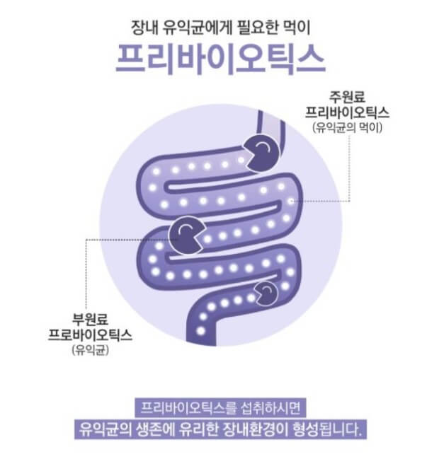 장내 유익균