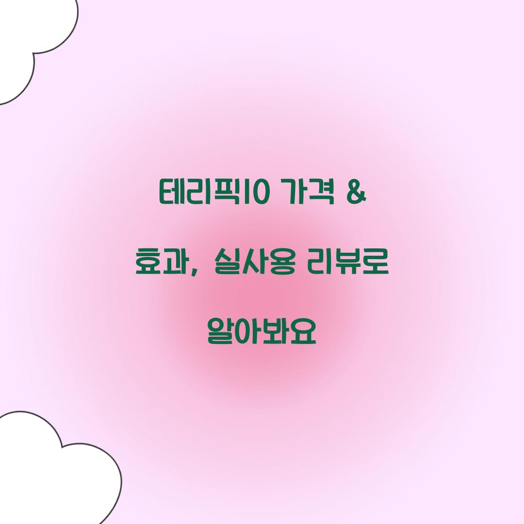 테리픽10 가격