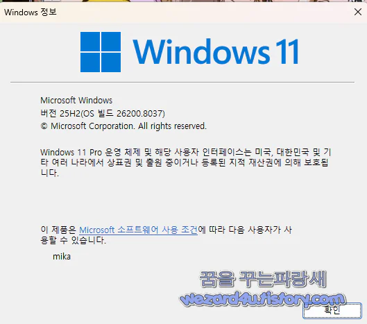 윈도우 11