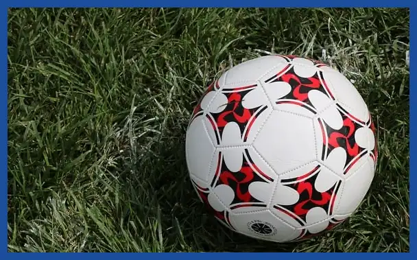 축구 국가대표 감독 연봉 순위: 클린스만, 만치니, 벤투까지 완벽 분석